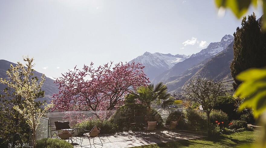 Risveglio di primavera | 5 = 4