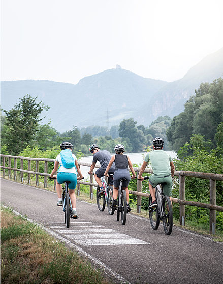 Group of four on mountain bike on cycle path