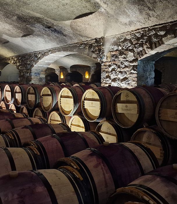 Sehr viele Weinfässer im Keller